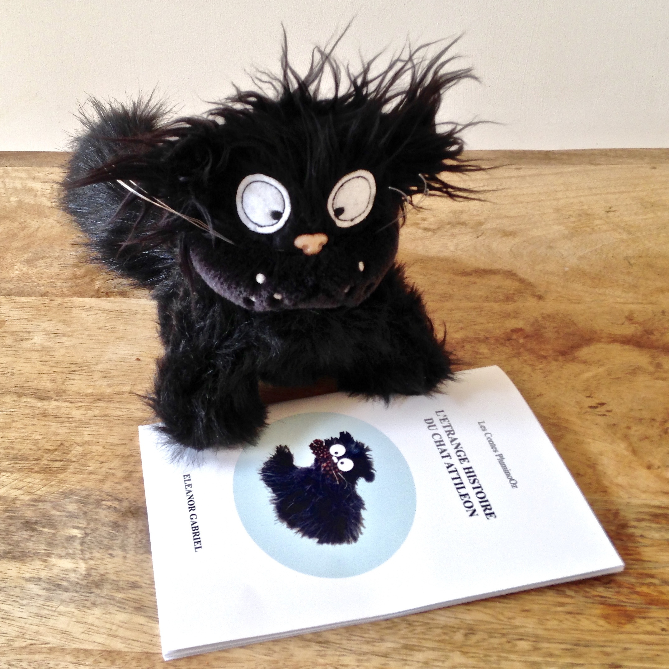 Peluche chat noir ébouriffée et son conte pour enfants, Attileon -   France