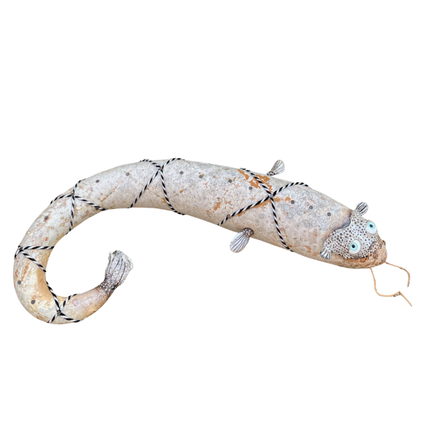 Poisson-chat de Galatée détouré