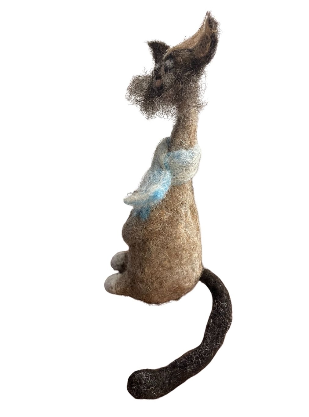 modèle fond image post EG - 2