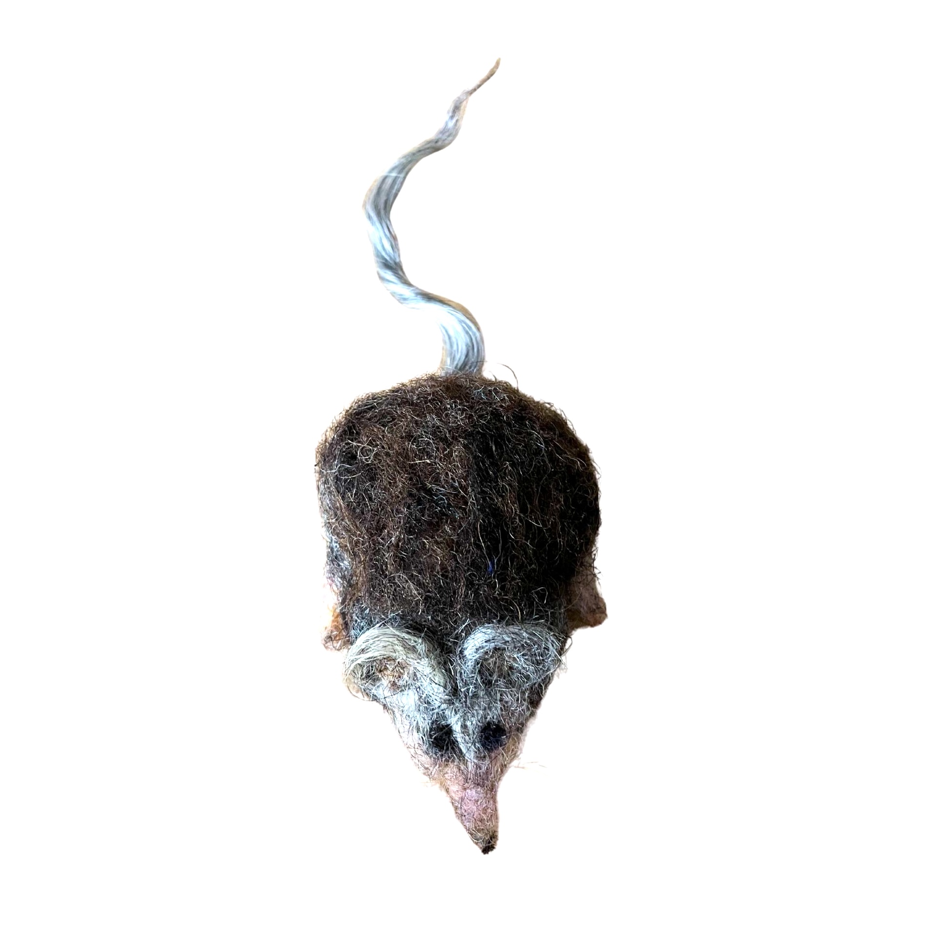 modèle fond image post EG - 2