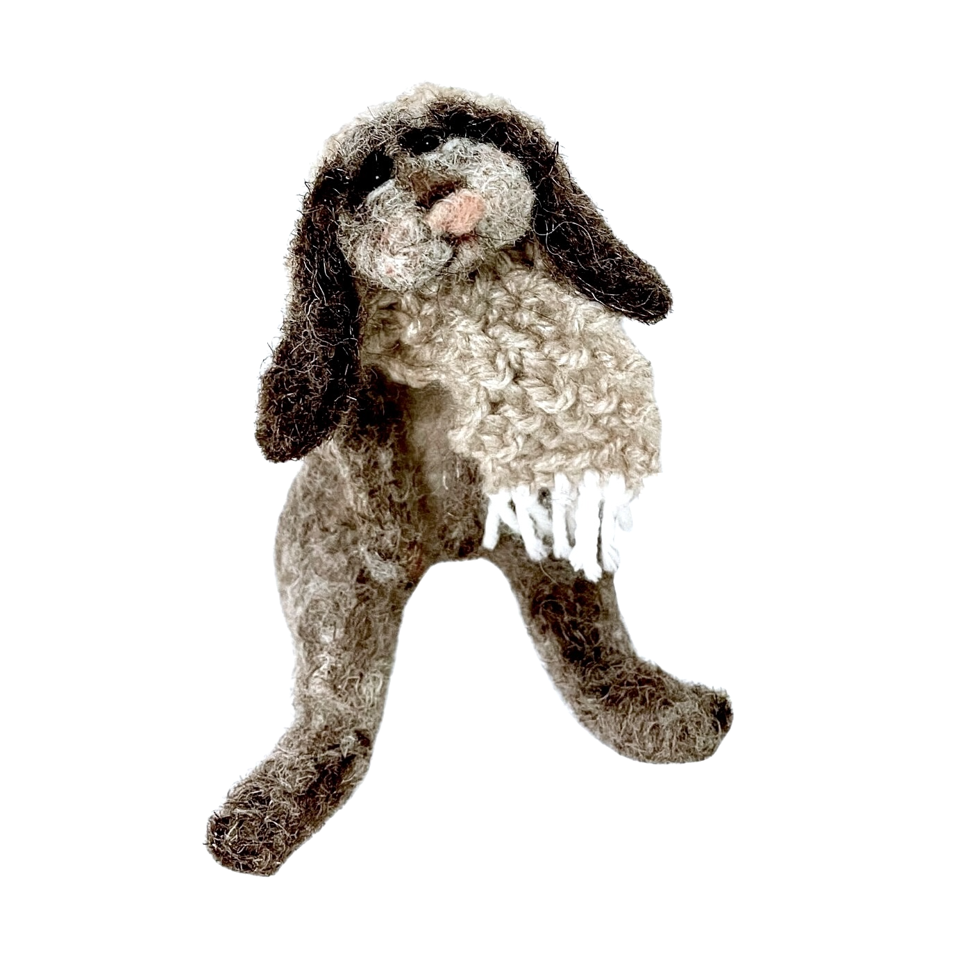 chien JOEY détouré