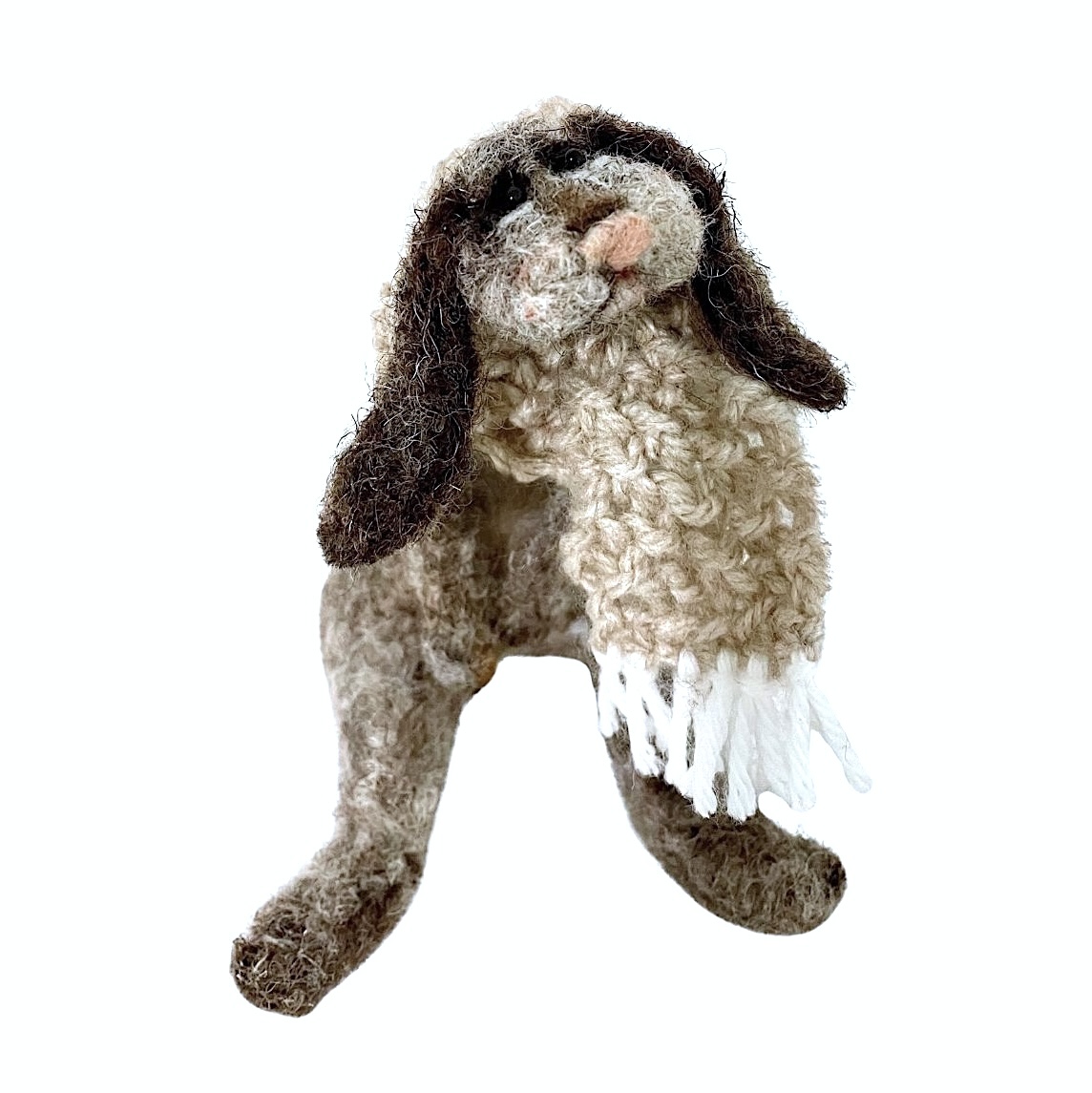 modèle fond image post EG - 2