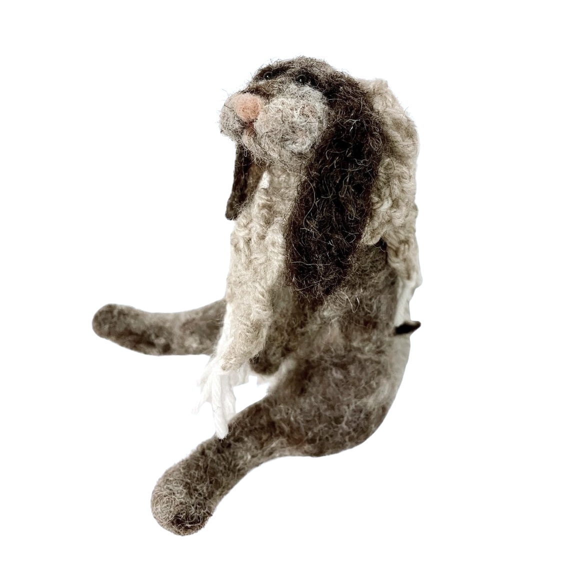 modèle fond image post EG - 2