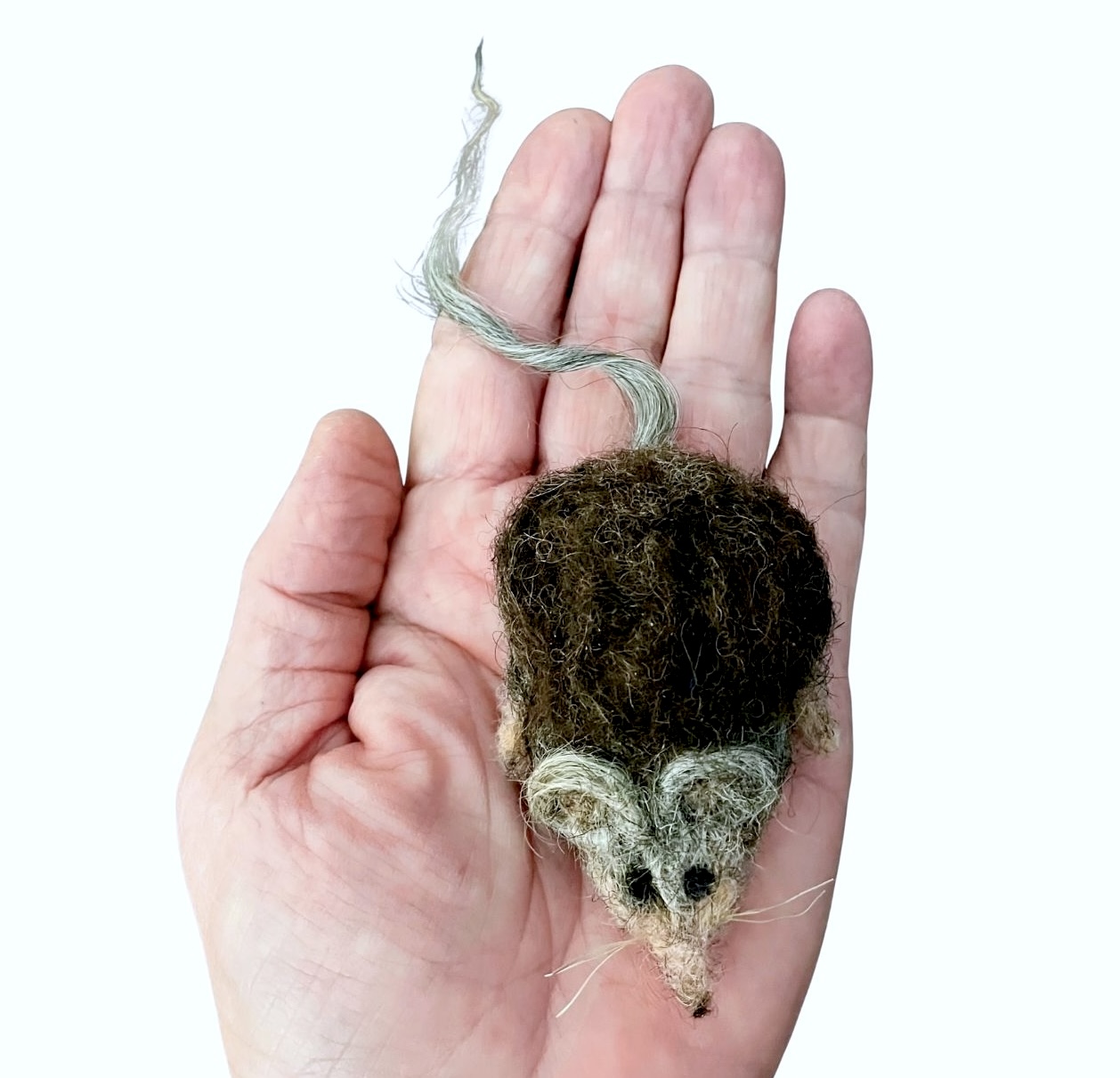 modèle fond image post EG - 2