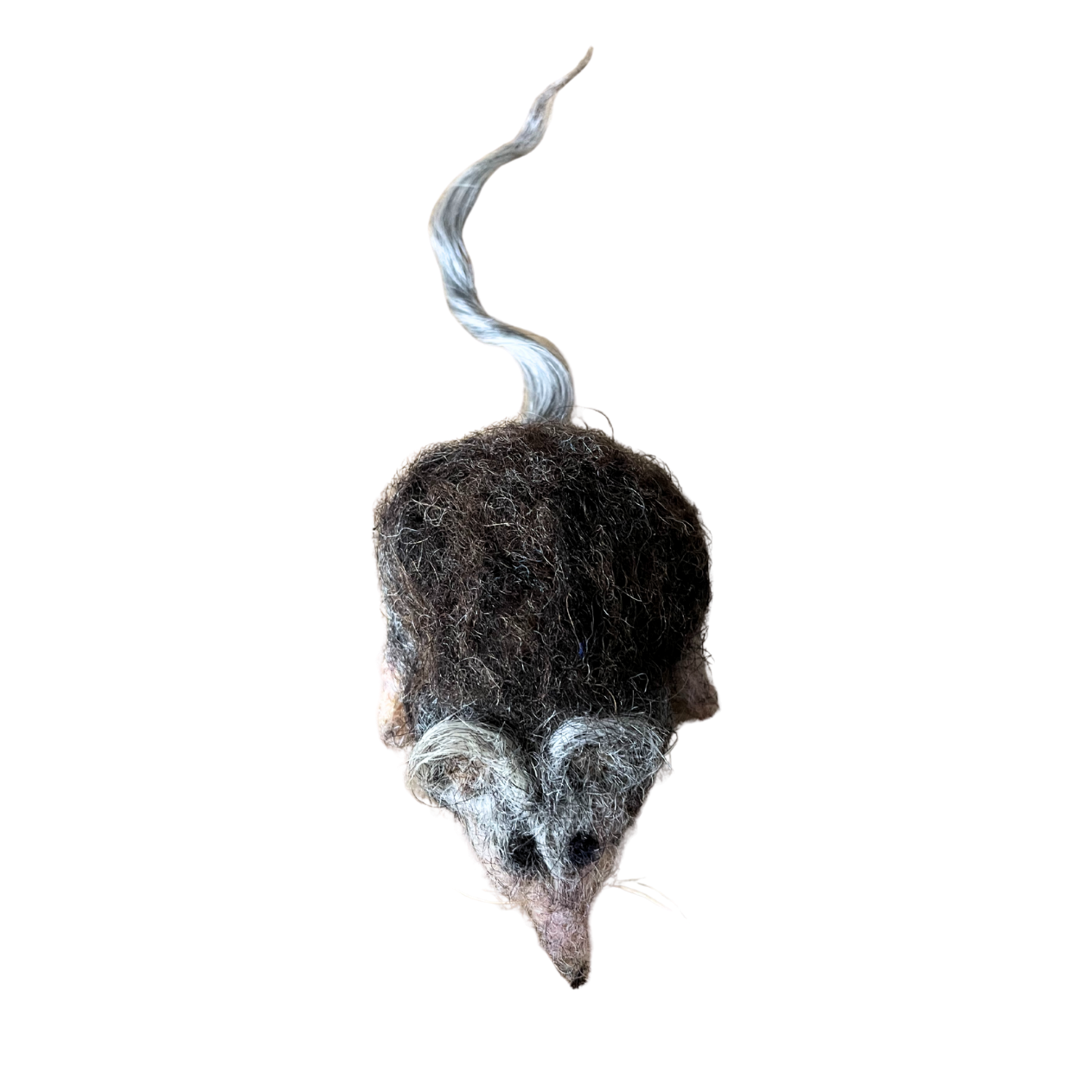 mulot Garibaldi détouré