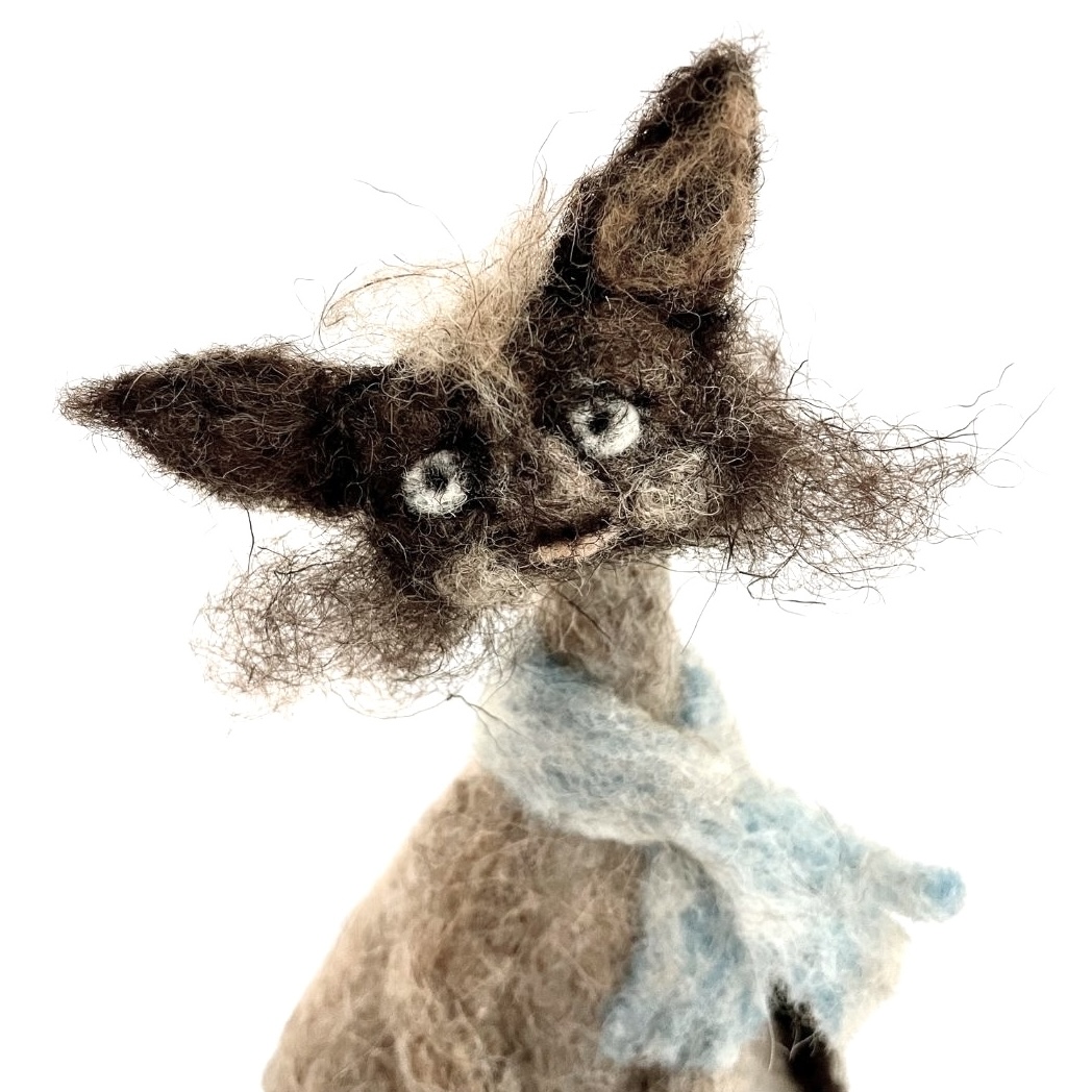 modèle fond image post EG - 2