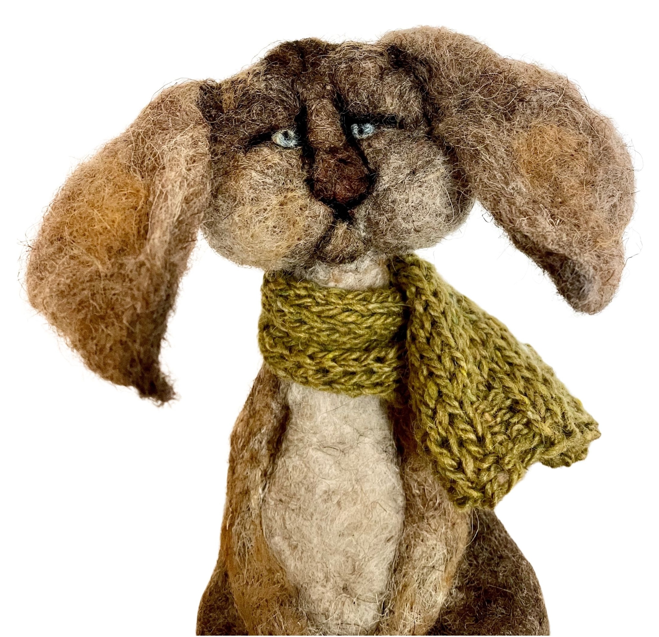 modèle fond image post EG - 2