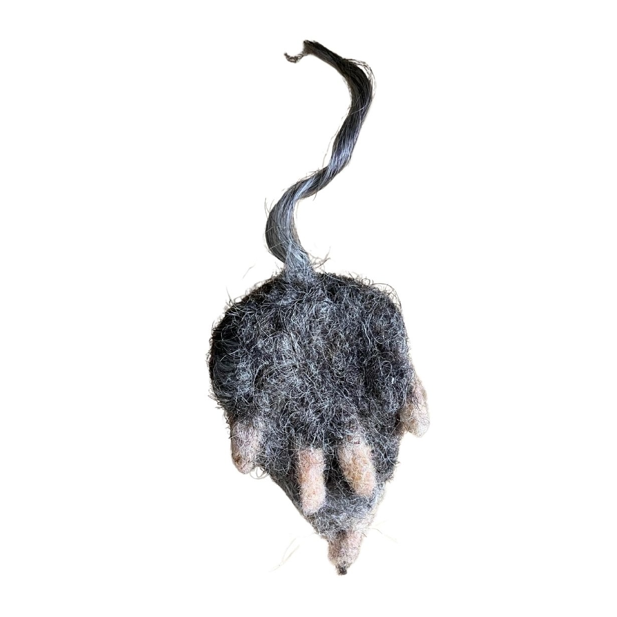 modèle fond image post EG - 2