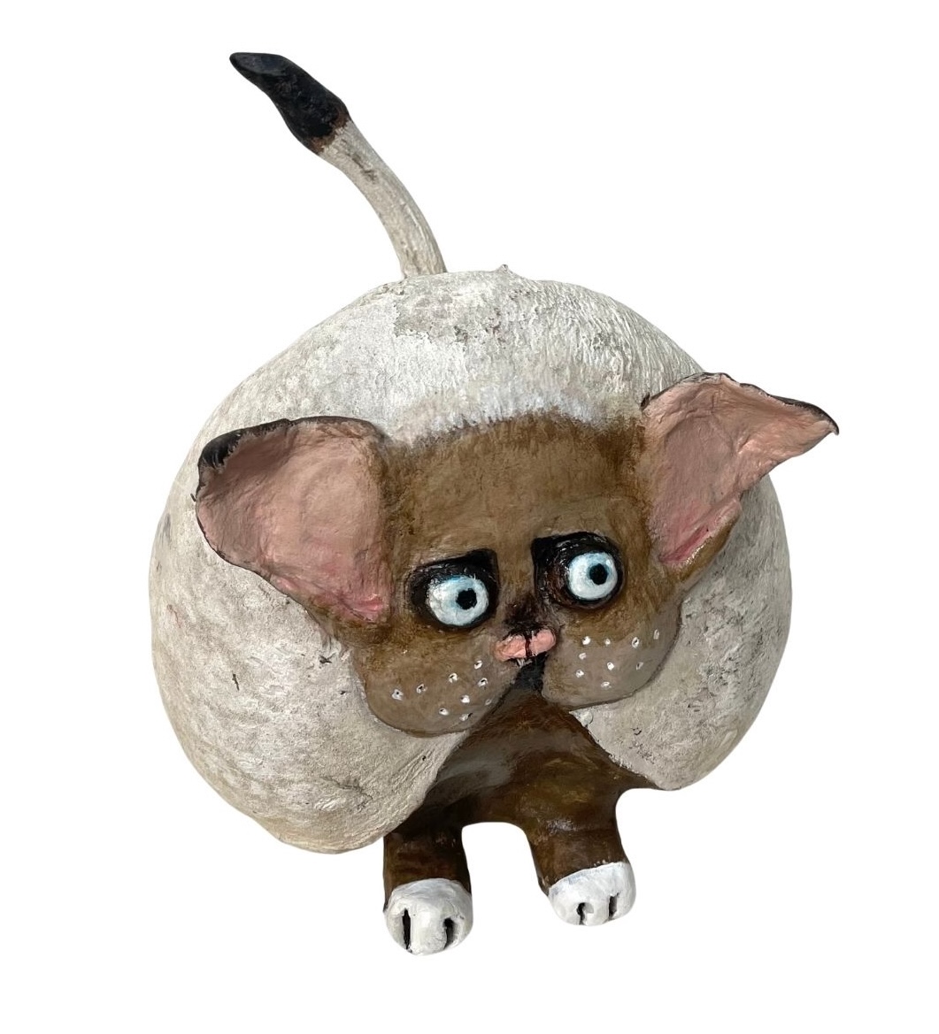 modèle fond image post EG - 2