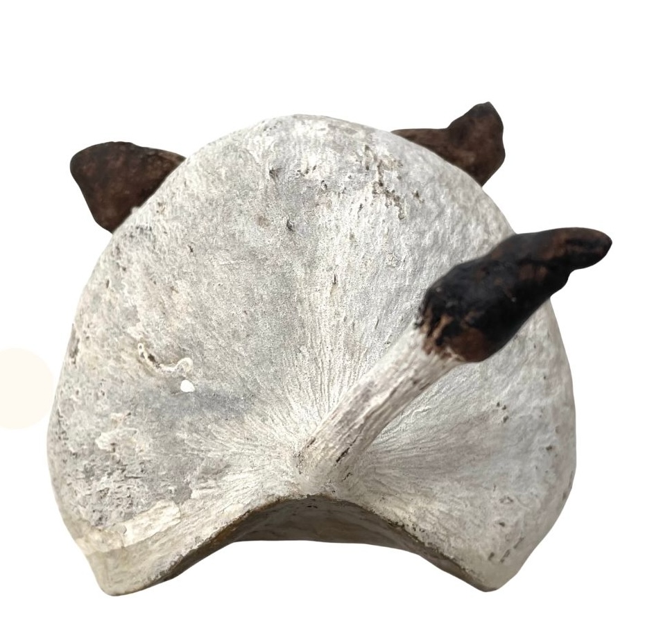 modèle fond image post EG - 2